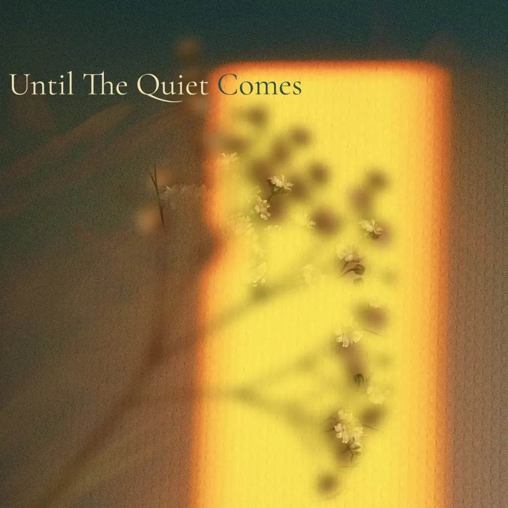 Cover art for Until the Quiet Comes